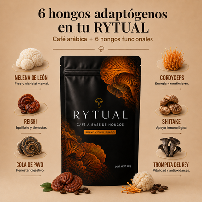 RYTUAL® | Menos hinchazón, más energía y mejor digestión